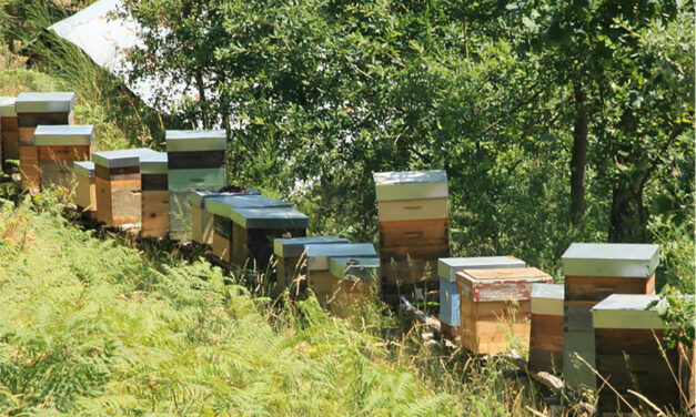 Visita à Quinta da Capela, Santiago de Piães, Cinfães – Projeto Biogoods